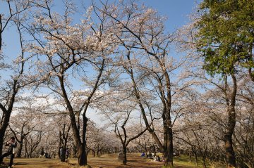 DSC_1892.JPG