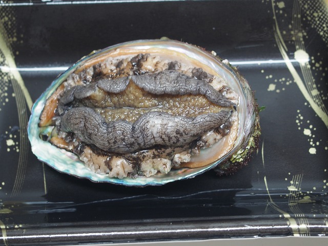 P4100857.jpg