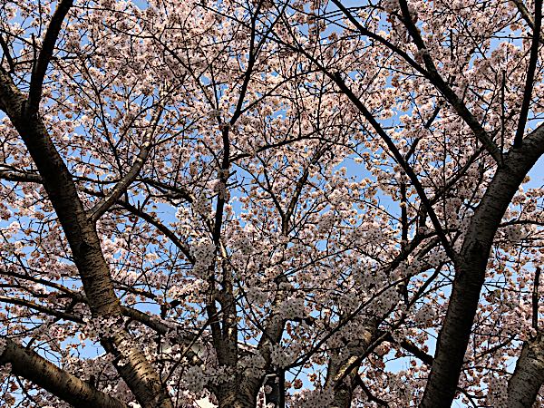 rblog-20180330001433-01.jpg