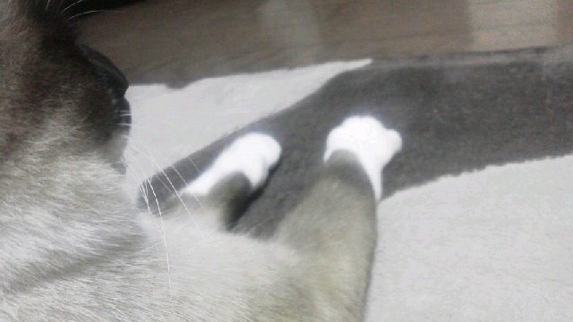 ライ