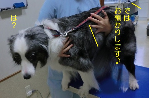 引き渡し完了