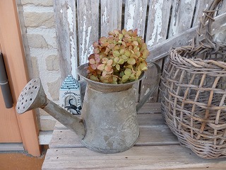 P1240785ss.jpg