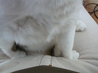 P1270078ss.jpg
