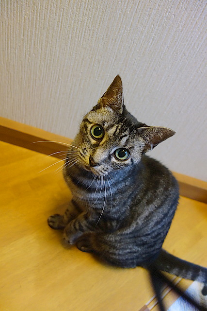2014081512