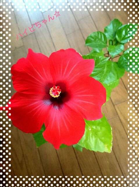 rblog-20141007173440-02.jpg