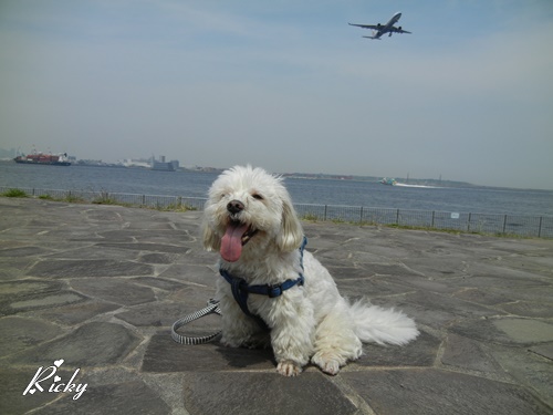 城南島海浜公園にて