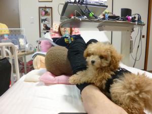 P1010841.JPG