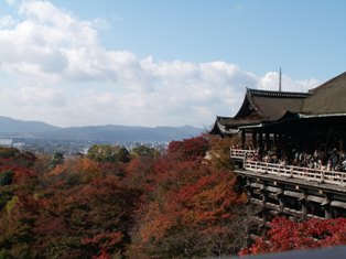 PICT0210.JPG