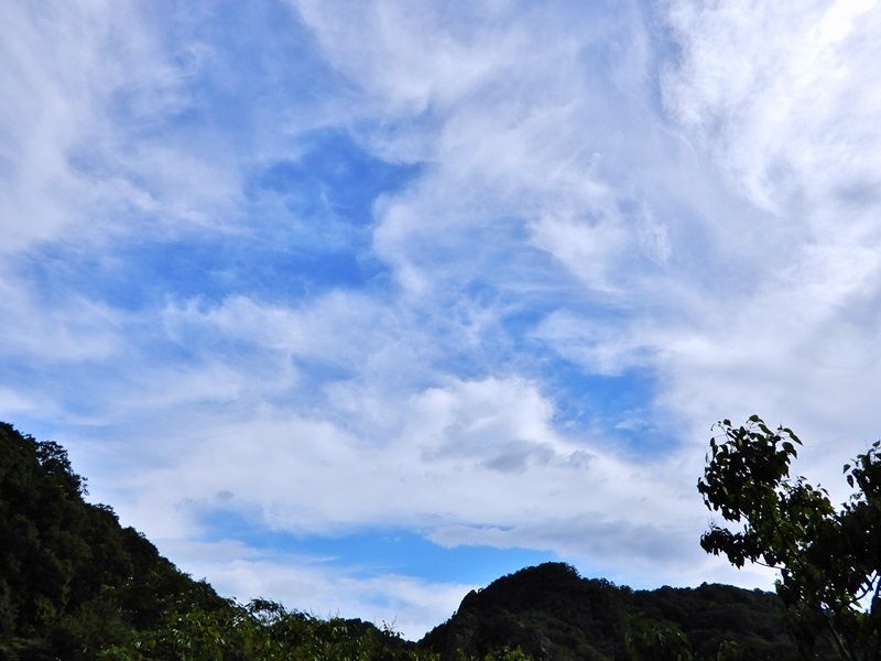 空6
