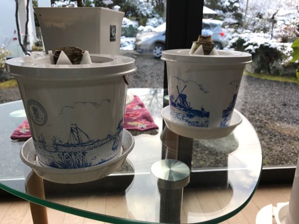 rblog-20171117080331-01.jpg