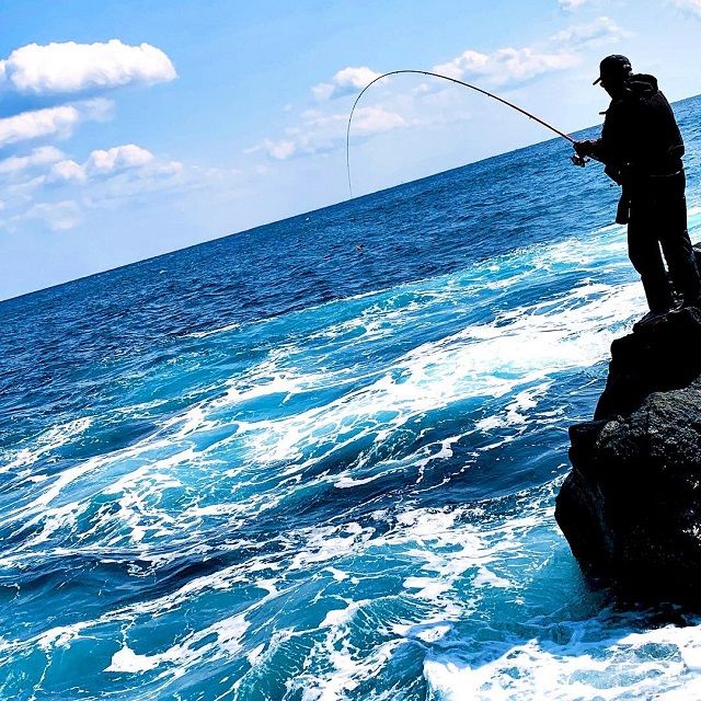 地磯で５０オナガでましたよ 三宅島ホテル海楽発信 釣果を中心とした三宅島生活ブログ 楽天ブログ