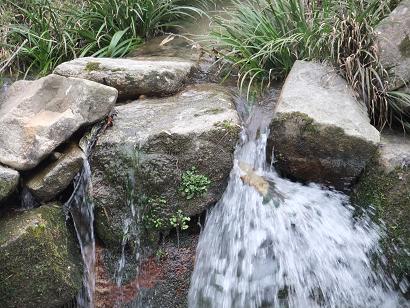 DSCF2729.jpg