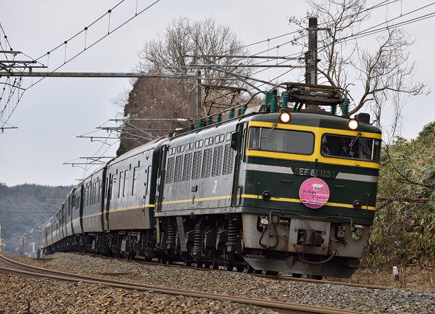 9 EF81-113 8002レ.jpg