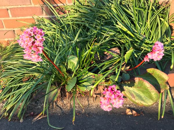 rblog-20180325184332-08.jpg