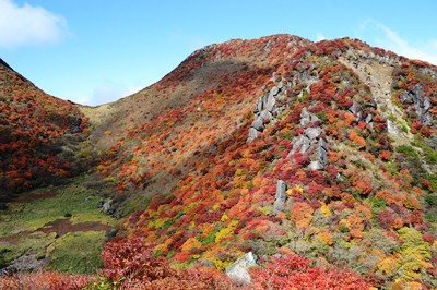 大鍋と小鍋の間から.jpg