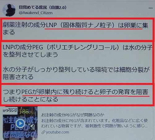 25ページ目の記事一覧 毎日の生活で感じたこと 楽天ブログ