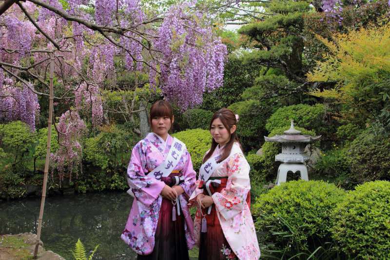 地蔵寺のフジ_004藤むすめ.jpg