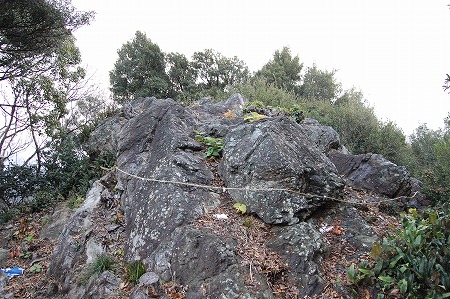 s-DSC_0423.jpg