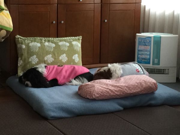 rblog-20160129131134-06.jpg