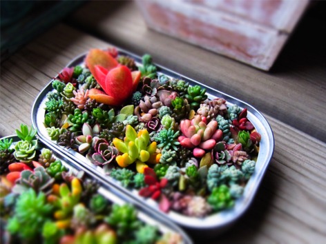 20130325 (12).JPG