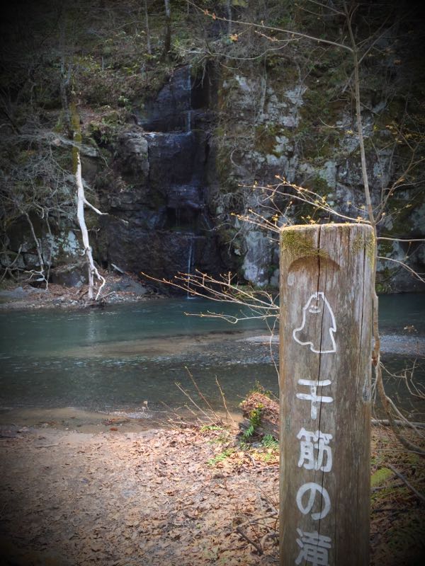 rblog-20150427165138-07.jpg