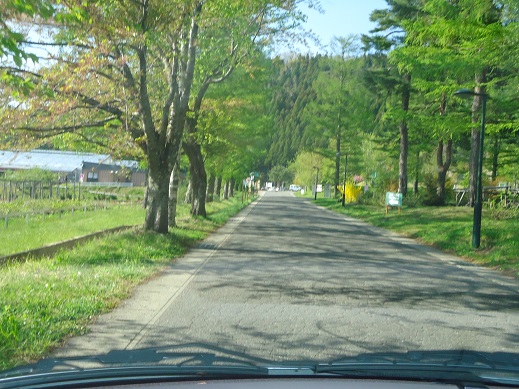 DSC03281.JPG