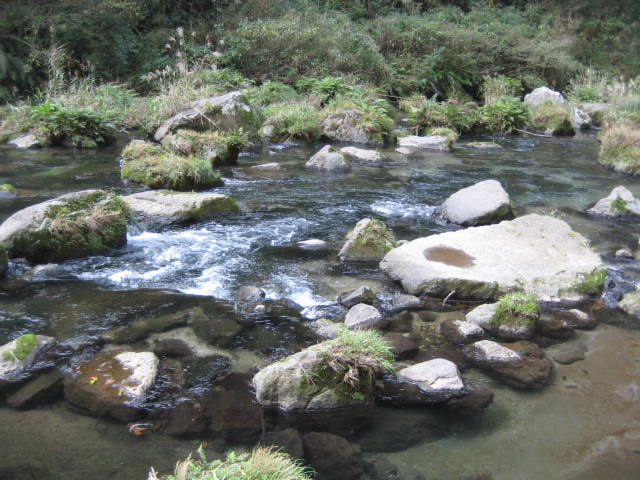 IMG_1350.JPG