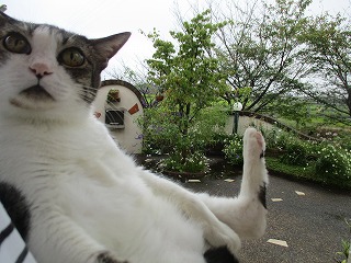 IMG_9291ss.jpg