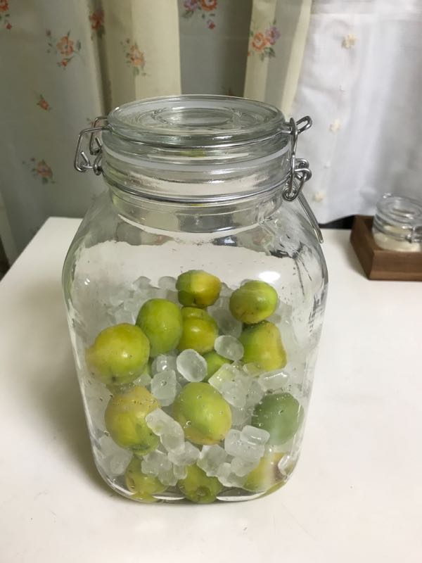 ダイソーのシンプル可愛いガラス瓶で梅シロップ作り ねぼすけママのつぶやき 楽天ブログ