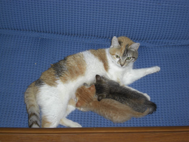 sCIMG7722.jpg