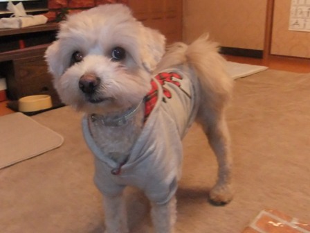 DSCF6268.JPG
