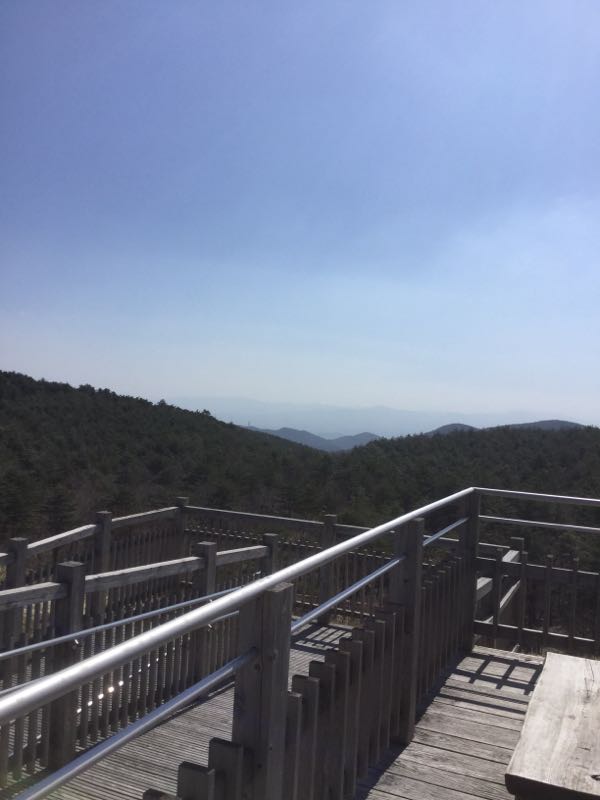 rblog-20170417021732-03.jpg
