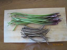IMG_1878.JPG