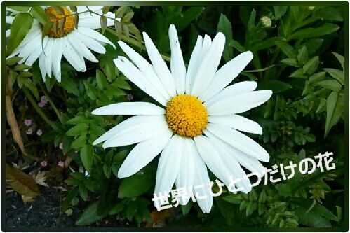 rblog-20160430142109-00.jpg