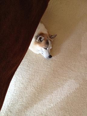 たきちゃんzzz.jpg