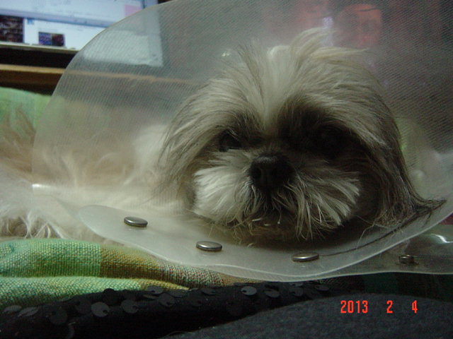 DSC00822.JPG