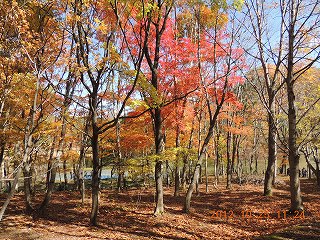 DSCN0903s-2.jpg