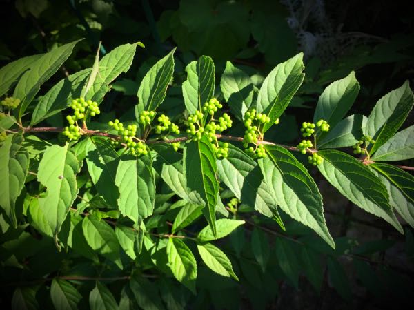 rblog-20160825215809-02.jpg