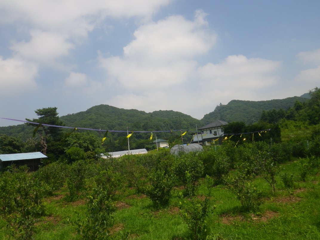 IMGP4418_1.JPG