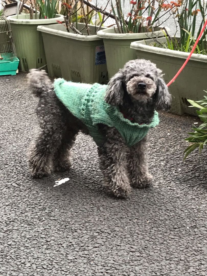 おとなの英会話フレーズ 腹を立てる ニンジャ飛猿のブログ 楽天ブログ