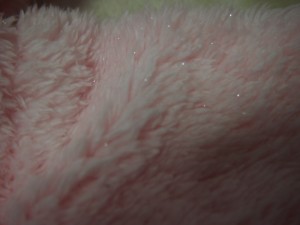 012.JPG