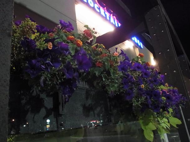 th_R0051744.jpg
