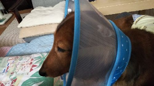 rblog-20181023144323-03.jpg