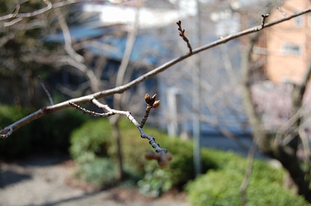 s-DSC_0105.jpg
