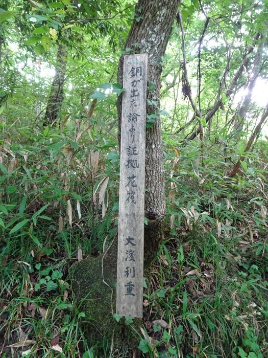 DSC06895_R.JPG