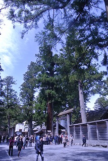 DSC_2089.jpg