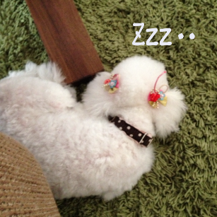 IMG_5218.png