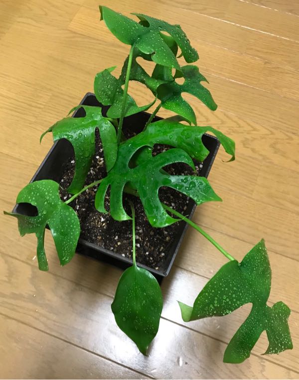 rblog-20190115131500-01.jpg