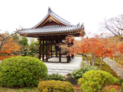 P1000158 - コピー.JPG