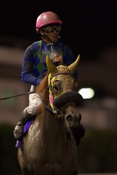 レース後